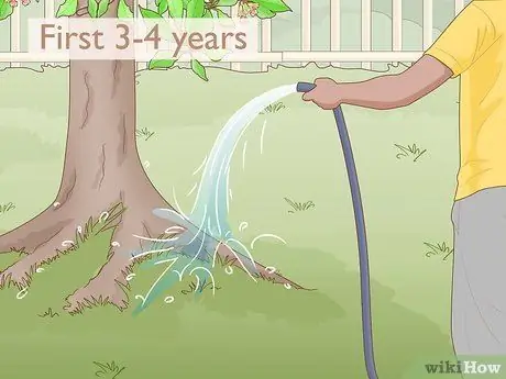 Выращивание гвоздики Шаг 12