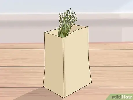 Сбор цикория, шаг 13