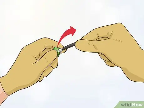 Сбор цикория, шаг 14