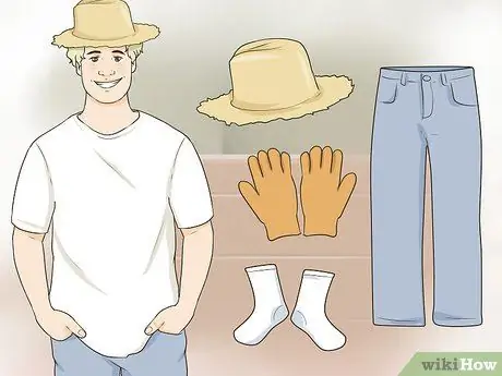 Сбор цикория, шаг 15