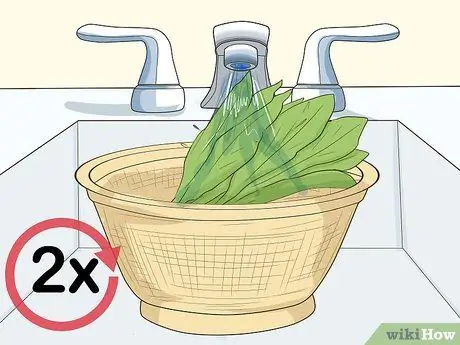 Сбор цикория, шаг 8