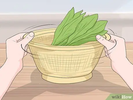 Сбор цикория, шаг 9