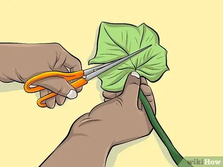 Ешьте кудзу Шаг 4