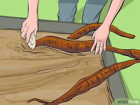 Ешьте кудзу Шаг 7