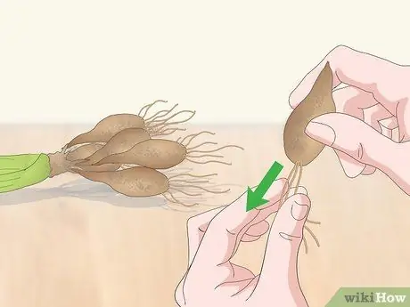 Ешьте лилейники Шаг 4