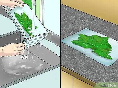 Ешьте цикорий Шаг 1