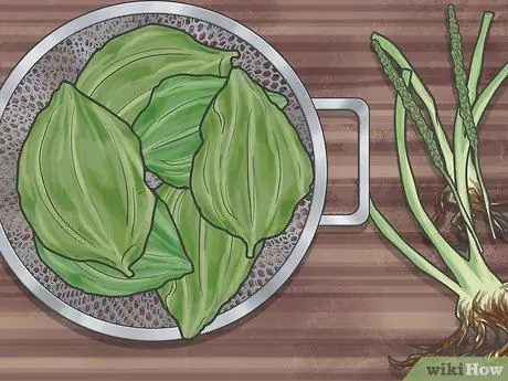 Ешьте листья подорожника, шаг 1