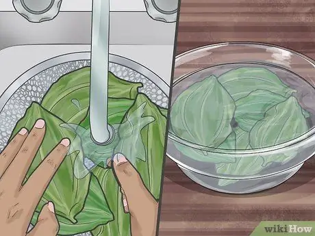 Ешьте листья подорожника, шаг 2