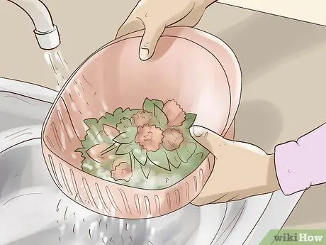 Съешьте красный клевер, шаг 2