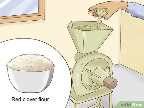 Съешьте красный клевер Шаг 7