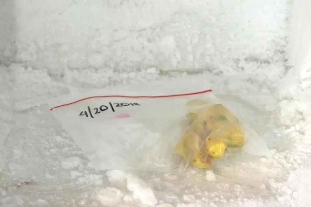 4 способа заморозить имбирь