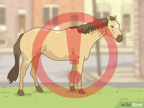 Съешьте ползучего Чарли, шаг 12