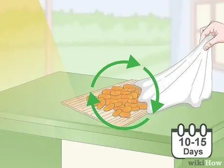 Сухая куркума, шаг 4