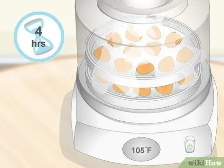 Сухая куркума Шаг 7