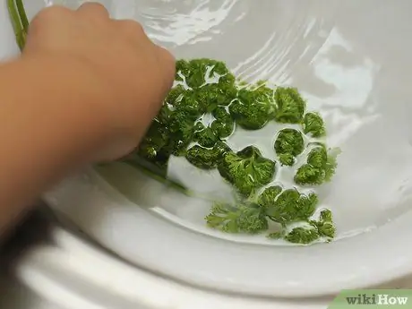 Приготовить петрушку Шаг 4