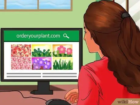 Купить растения мяты шаг 2