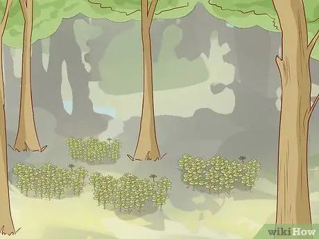 Сбор урожая песчанки, шаг 2