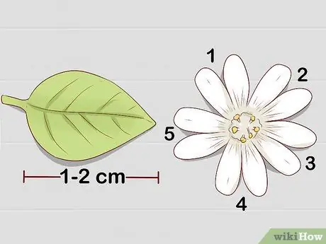 Урожай песчаника Шаг 3