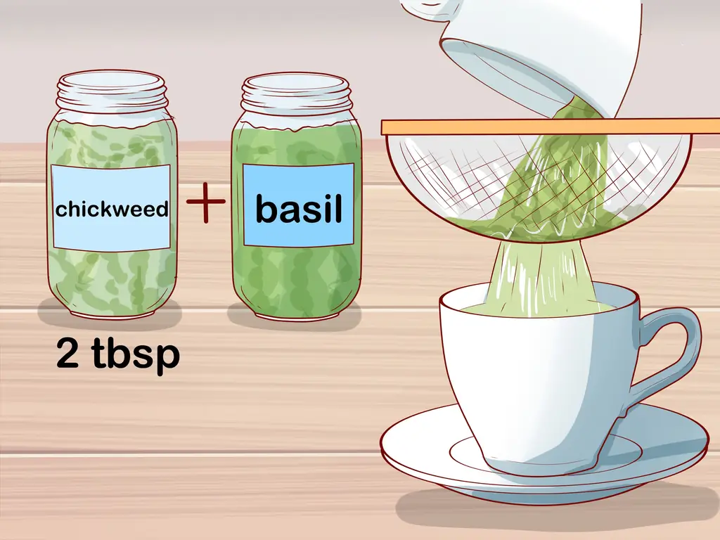 Как собирать звездчатку: 13 шагов (с иллюстрациями)