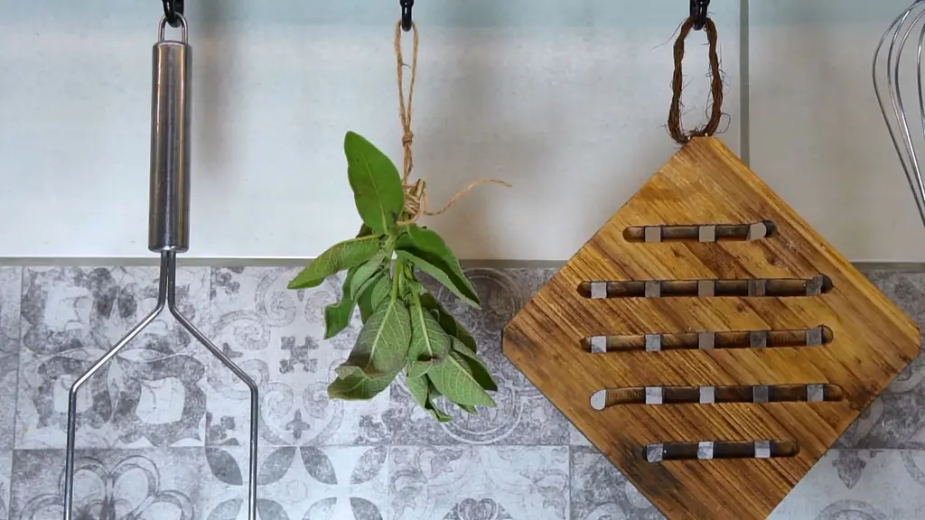 4 простых способа использовать шалфей