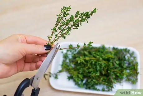 Используйте майоран, шаг 2