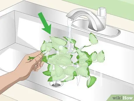 Сухой лимонный бальзам Шаг 1