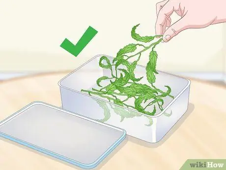 Сухой лимонный бальзам Шаг 11