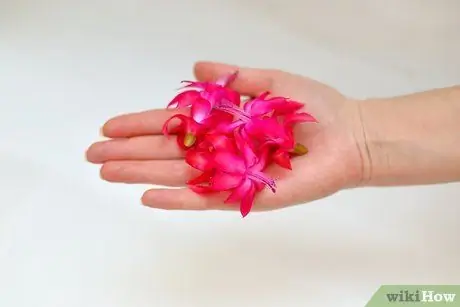 Украсьте салат съедобными цветами Шаг 1