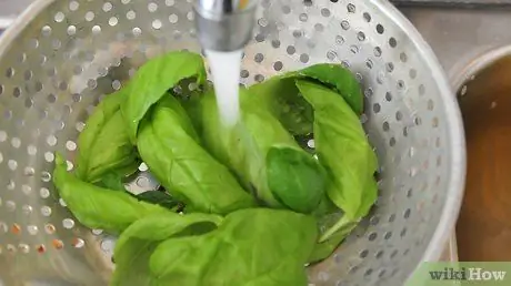 Заморозьте и сохраните травы в оливковом масле, шаг 2