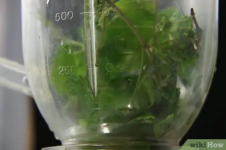 Приготовьте мохито для 20 человек Шаг 1