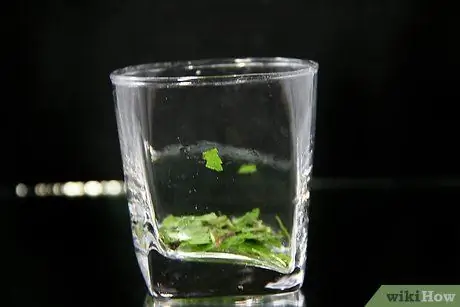 Приготовьте мохито для 20 человек Шаг 9