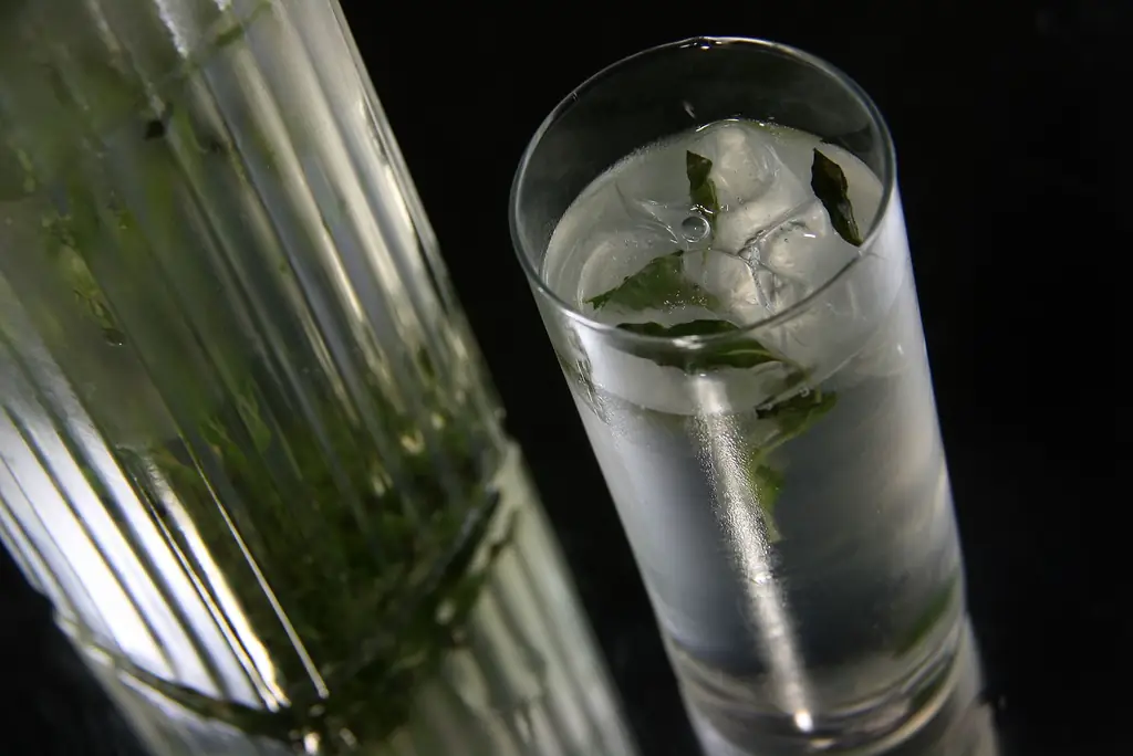 Как приготовить водочный мохито: 13 шагов (с иллюстрациями)