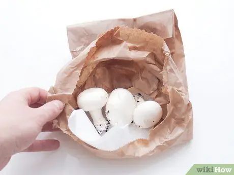 Сохраняйте грибы свежими, шаг 2