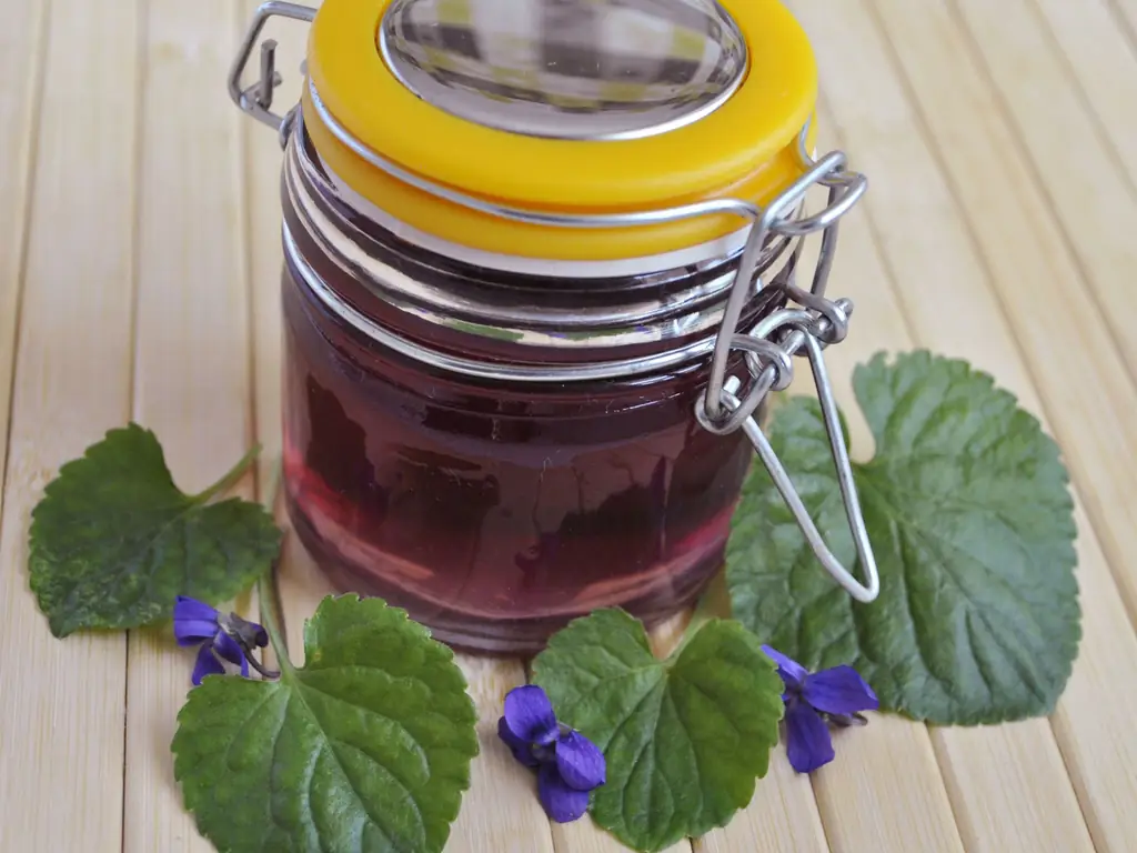 Как приготовить фиолетовый сироп: 14 шагов (с иллюстрациями)