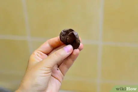 Сделать шоколадные розы Шаг 9