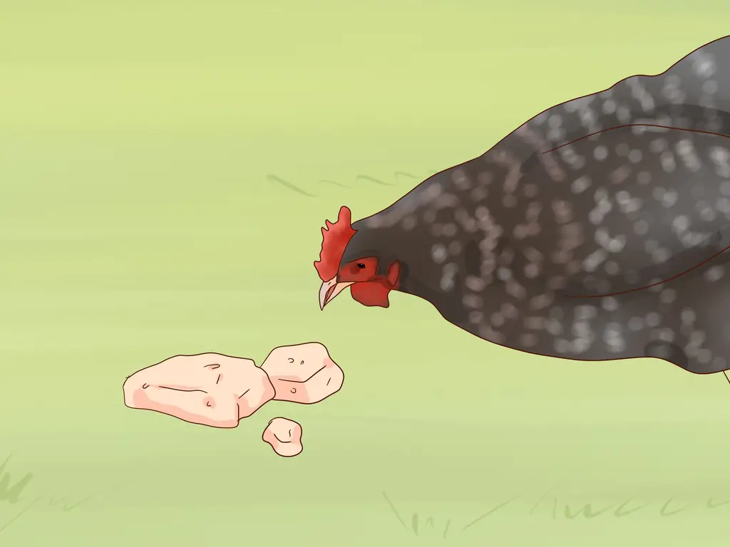 Как использовать кислое молоко для курицы: 6 шагов (с иллюстрациями)