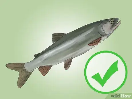 Отварить рыбу, шаг 1