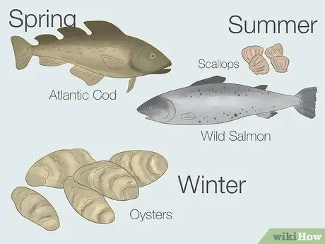 Купить Fresh Fish Step 1 Купить Fresh Fish Step 1