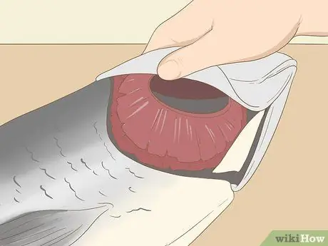 Купить Fresh Fish Step 4 Купить Fresh Fish Step 4