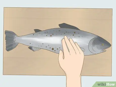 Купить Fresh Fish Step 5 Купить Fresh Fish Step 5