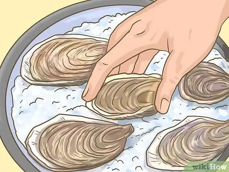 Купить Fresh Oysters Step 13 Купить Fresh Oysters Step 13