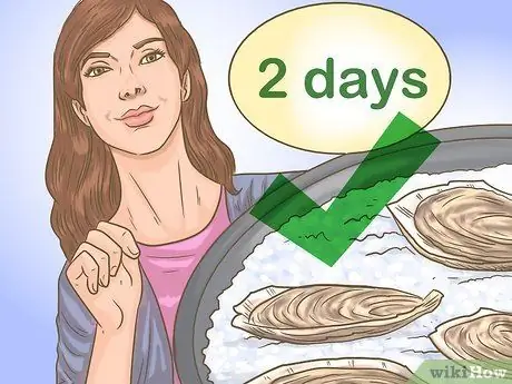 Купить свежие устрицы Step 17 Купить свежие устрицы Step 17