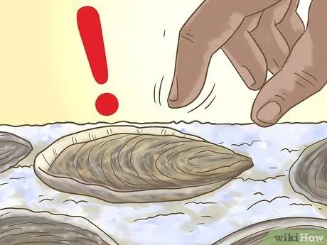 Купить свежие устрицы Step 6 Купить свежие устрицы Step 6