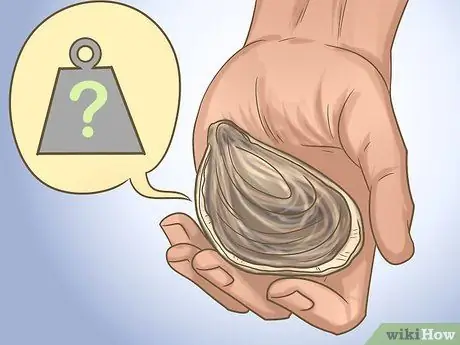 Купить свежие устрицы Step 9 Купить свежие устрицы Step 9