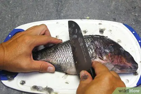 Приготовить или запечь целую рыбу Шаг 1