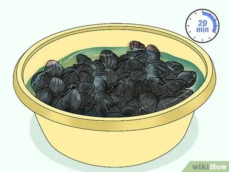 Готовьте фаршированные моллюски Шаг 3