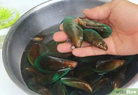 Мидии на пару Шаг 1