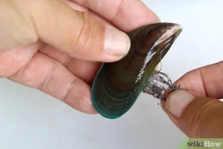 Мидии на пару Шаг 4