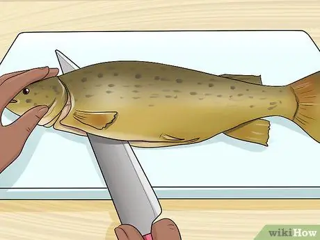 Очистите форель Шаг 8