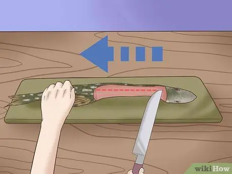 Очистка и разделка северной щуки Шаг 11